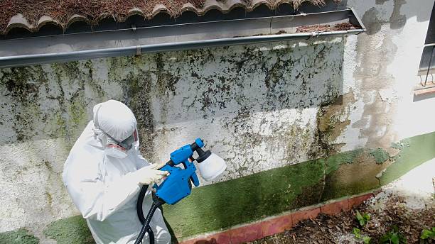 Top rated local Commercial Mold Remediation specialists in Fort Washington, PA